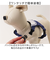 【当商品送料無料】ハーネス 小型犬 セーラー服 通販 犬用ハーネス 犬ハーネス ドッグハーネス 胴輪 犬 Marine マリン 犬用 ペット用