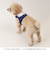 【当商品送料無料】ハーネス 小型犬 セーラー服 通販 犬用ハーネス 犬ハーネス ドッグハーネス 胴輪 犬 Marine マリン 犬用 ペット用
