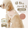 【当商品送料無料】ハーネス 小型犬 骨型 通販 犬用ハーネス 犬ハーネス ドッグハーネス 胴輪 犬 ほねのハーネス 犬用 ペット用 小型犬用 散歩