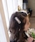 【当商品送料無料】Rora パッチン留め 3個セット 通販 ノア パッチンどめ ヘアピン パッチンピン 髪飾り 子供 子ども 可愛い 女の子 卒園式