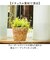 【当商品送料無料】鉢カバー 4号 通販 アミアミポット4号 植木鉢カバー プランターカバー 4号鉢 花 ホワイエ 植木鉢 鉢 プランター カゴ