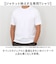 【当商品送料無料】URBAN SQUARE Tシャツ 通販 半袖 メンズ オフィスカジュアル 襟高 半袖Tシャツ シンプル オフィス ビジネス