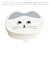 【当商品送料無料】ランチボックス キャラクター 通販 子供 子ども こども 猫 ネコ ねこ お弁当箱 ランチ容器 小さめ 可愛い 幼稚園 かわいい