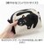 【当商品送料無料】ニャンタマポーチ AND PACKABLE 通販 ミニポーチ 猫 小物入れ かわいい ねこ ネコ アニマル 動物 おしゃれ