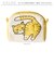 【当商品送料無料】ニャンタマポーチ AND PACKABLE 通販 ミニポーチ 猫 小物入れ かわいい ねこ ネコ アニマル 動物 おしゃれ
