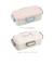 【当商品送料無料】スケーター 弁当箱 530 PFLB6 通販 日本製 skater 弁当 箱 ふわっと弁当箱 ランチボックス 1段 お弁当箱 一段