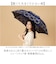 【当商品送料無料】レディース 傘 オシャレ 通販 カサ かさ コンパクト 雨傘 ショートワイド 雨の日 梅雨 こども 子供 子ども アンブレラ