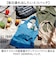 【当商品送料無料】ポストジェネラル エコバッグ 通販 トートバッグ トート バッグ ショッパーバッグ 肩がけ メンズ 折りたたみ ナイロン POST