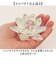 【当商品送料無料】HillTop ヒルトップ クリスタル 蓮の花 通販 オブジェ 置物 置き物 花 フラワー ロータス クリスタルロータス ガラス製