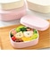 【当商品送料無料】お弁当箱 女子 1段 通販 ランチボックス 一段 ワンタッチ 弁当箱 洗いやすい 子ども こども 子供 ワンタッチ開閉 Lunch