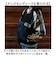【当商品送料無料】スカジャン キャラジャン 通販 ジャケット ブルゾン スタジャン 上着 刺繍スカジャン アウター キャラクター 刺繍 ししゅう