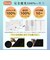 【当商品送料無料】KIZAWA 折りたたみ日傘 通販 キザワ 折りたたみ傘 日傘 折りたたみ 折り畳み傘 傘 かさ カサ 遮光率 100%