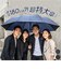 【当商品送料無料】長傘 特大 アウトドア 通販 雨傘 雨具 メンズ レディース 特大傘 手開き 傘 かさ 大きいサイズ 無地 シンプル レジャー