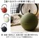 【当商品送料無料】南部鉄器 急須 おしゃれ 通販 日本製 鉄瓶 鉄急須 岩鋳 お茶 ポット 藍花 aika 日の丸 鉄製 冷めにくい 盛岡 南部