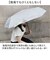【当商品送料無料】晴雨兼用折りたたみ傘 レディース 通販 強風対応 晴雨兼用傘 折り畳み傘 雨傘 日傘 傘 かさ 強風に強い 55cm 55センチ