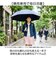 【当商品送料無料】傘 58cm 女の子 小学生 通販 長傘 ジャンプ傘 キッズ ジュニア 晴雨兼用傘 雨傘 日傘 通学 登下校 小学生女子