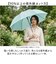 【当商品送料無料】ビコーズ because 長傘 通販 晴雨兼用 晴雨兼用傘 遮光 長かさ 雨傘 かさ 傘 47cm 47センチ 手開き レディース