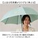 【当商品送料無料】ビコーズ because 長傘 通販 晴雨兼用 晴雨兼用傘 遮光 長かさ 雨傘 かさ 傘 47cm 47センチ 手開き レディース