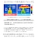 【当商品送料無料】because ビコーズ 日傘 通販 晴雨兼用傘 折りたたみ傘 折り畳み傘 遮熱 遮光 遮光 傘 かさ 雨傘 50cm 50センチ