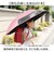 【当商品送料無料】晴雨兼用傘 子供 通販 長傘 晴雨兼用 日傘 雨傘 傘 55cm かさ カサ uvカット 紫外線対策 子ども傘 こども傘 子供傘