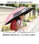 【当商品送料無料】晴雨兼用傘 子供 通販 長傘 晴雨兼用 日傘 雨傘 傘 55cm かさ カサ uvカット 紫外線対策 子ども傘 こども傘 子供傘