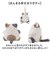 【当商品送料無料】マスコット 通販 ねこ肯定感 ネココウテイカン キーホルダー 御守りマスコット ストラップ キーリング チャーム 持ち歩き 携帯