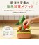 【当商品送料無料】赤ちゃん おもちゃ 指先の知育 通販 ミニファームシリーズ もぎもぎトマト畑 ソフトトイ 知育玩具 ベビー 玩具 布おもちゃ