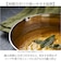 【当商品送料無料】雪平鍋 ih対応 通販 片手鍋 なべ ステンレス 深型鍋 20cm ステンレスン鍋 ガス ih対応雪平鍋 深型雪平鍋 注ぎ口付き