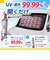 【当商品送料無料】三金商事 カーシェード キャラクター 車 通販 車サンシェード サンシェード フロントシェード フロントカーテン 目隠し用 目隠し
