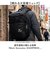 【当商品送料無料】マークゴンザレス リュック 30リットル 通販 mark gonzales VJMG-0015 バックパック デイパック