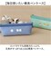 【当商品送料無料】ペンポーチ かわいい 通販 ペンケース 文房具入れ 文具入れ 筆箱 筆入れ 文具ケース 学用品 フラットポーチ ペン入れ 横長