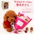 【当商品送料無料】ソープフラワー ぬいぐるみ 花束 通販 犬 ソープフラワーギフト フラワーソープ フラワーソープブーケ シャボンフラワー