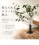 【当商品送料無料】フラワーベース 枝物 通販 花瓶 花器 アイアンスタンド S アイアン 枝スタンド 大きな枝ものを活けて飾れる 割れない 倒れない