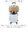 【当商品送料無料】大容量 ボストンバッグ 軽い 通販 ボストンバック 旅行バッグ 機内持ち込み バッグ 修学旅行バッグ 旅行カバン 1泊2日