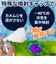 【当商品送料無料】カメムシ 殺虫剤 通販 カメムシスプレー カメムシ駆除スプレー カメムシ対策 殺虫成分不使用 凍結スプレー 瞬殺スプレー 害虫対策