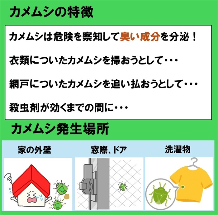【当商品送料無料】カメムシ 殺虫剤 通販 カメムシスプレー カメムシ駆除スプレー カメムシ対策 殺虫成分不使用 凍結スプレー 瞬殺スプレー 害虫対策