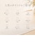 【当商品送料無料】曲げわっぱ 弁当箱 レンジ対応 通販 日本製 曲げわっぱ弁当箱 わっぱ弁当箱 ランチボックス お弁当箱 1段弁当箱 一段弁当箱