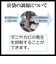 【当商品送料無料】炭袋 除湿 通販 日本製 消臭剤 湿気取り 除湿剤 繰り返し使える 炭 エコ 臭い対策 カビ防止 湿気対策 調湿材 ニオイ対策