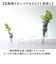 【当商品送料無料】花瓶 割れない 通販 フラワーベース PVシリンダー 花びん 花器 かびん 割れないガラス 花 フラワー FOYER ホワイエ