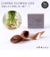 【当商品送料無料】銅のフラワーライフリーフ 通販 リーフ 3枚入 花瓶 花器 フラワーベース copper 銅 花 長持ち 切り花 植物 生花