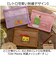 【当商品送料無料】ポーチ 刺繍 メッシュ 通販 ペンケース レトロ コスメポーチ 小物入れ オールドリスタ Lサイズ 仕切り付き ペンポーチ 筆箱