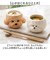 【当商品送料無料】お茶碗 可愛い 通販 茶碗 ご飯茶碗 飯椀 茶わん お椀 大人 小さめ かわいい おしゃれ 動物 アニマル キャラクター