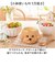【当商品送料無料】お茶碗 可愛い 通販 茶碗 ご飯茶碗 飯椀 茶わん お椀 大人 小さめ かわいい おしゃれ 動物 アニマル キャラクター