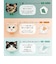 【当商品送料無料】今治フェイスタオル 通販 ロングフェイスタオル ミニバスタオル 猫グッズ かわいい猫柄タオル ギフト 綿100パーセント日本製