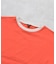 オーガニックコットン 半袖Tシャツ