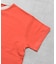 オーガニックコットン 半袖Tシャツ