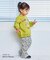 【セットアップ】ぱぱっとセットアップ