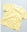 【COTTON from U.S.A】マイニチワッペンボーダーTシャツ