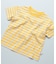 【COTTON from U.S.A】マイニチワッペンボーダーTシャツ
