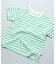 【COTTON from U.S.A】マイニチワッペンボーダーTシャツ
